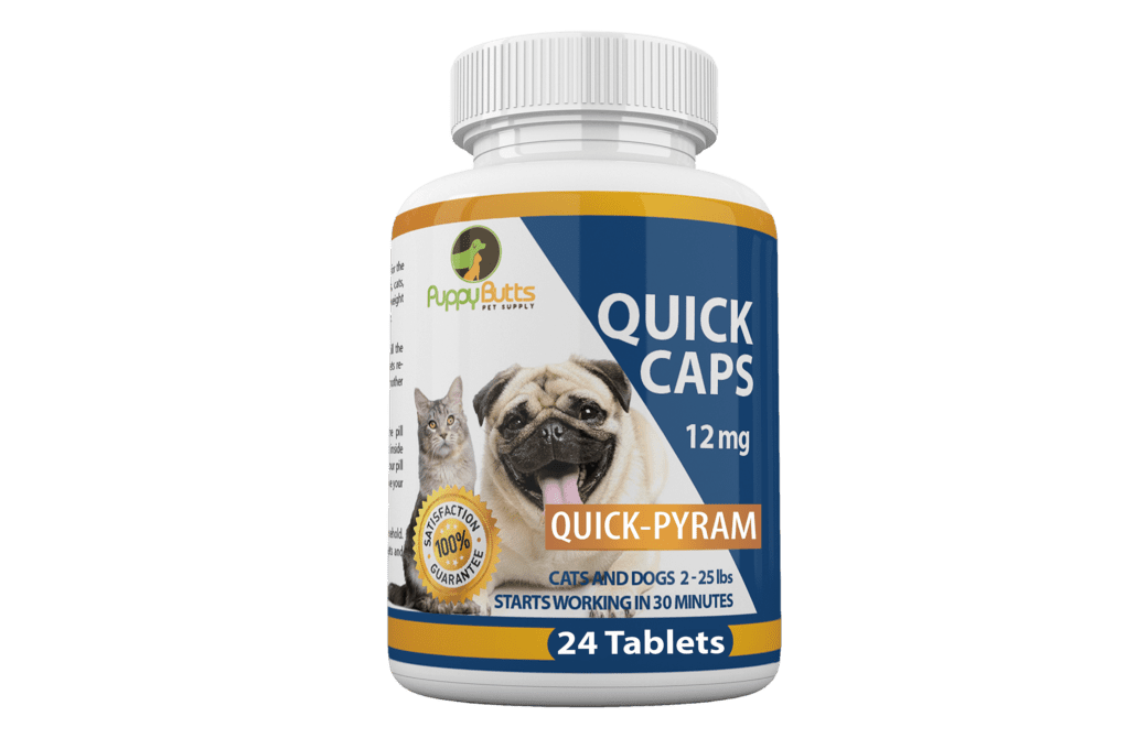 A bottle of quick caps for cats and dogs.