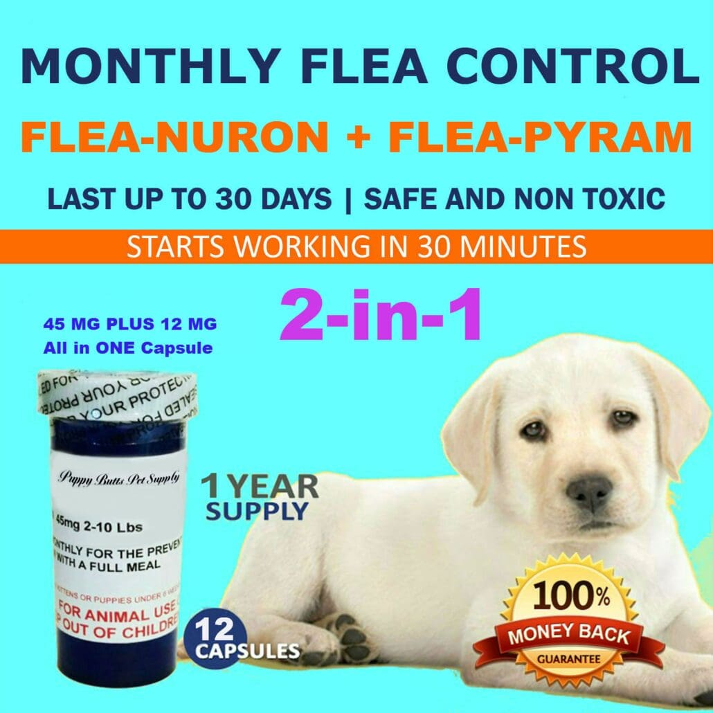 A dog sitting next to a bottle of flea control.