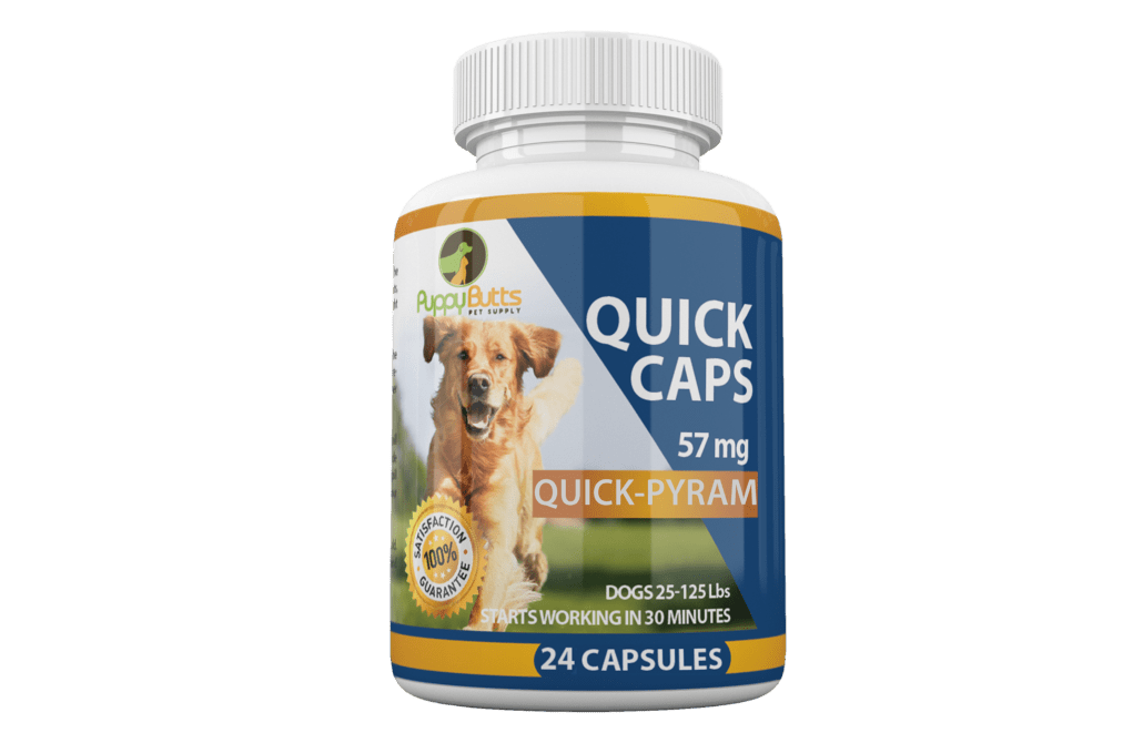 A bottle of quick caps for dogs