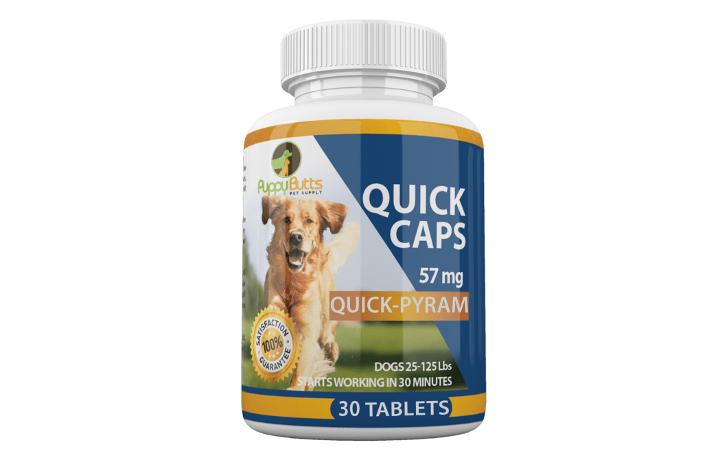 A bottle of quick caps for dogs