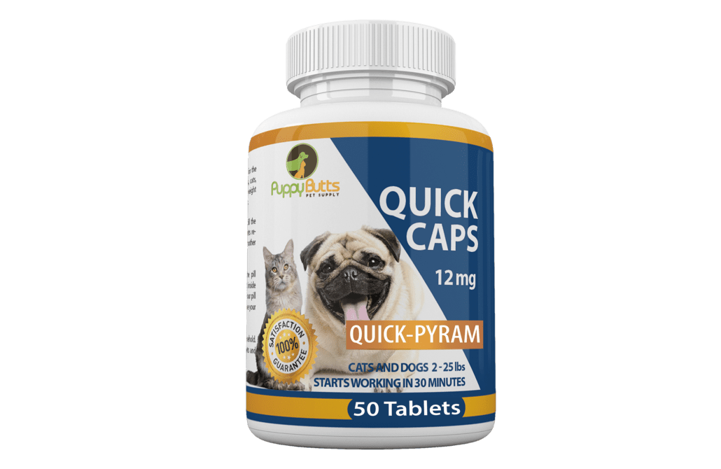 A bottle of quick caps for dogs and cats.