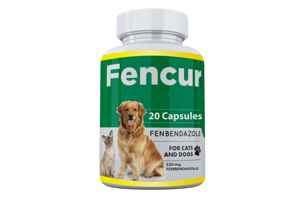 Fencur capsules for cats and dogs