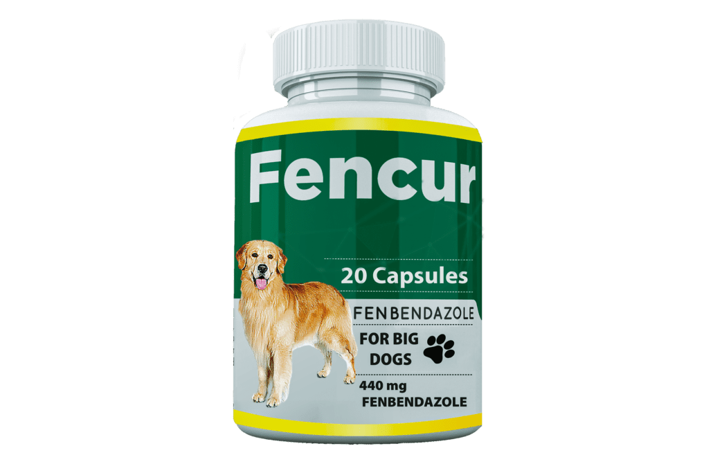Fencur for big dogs
