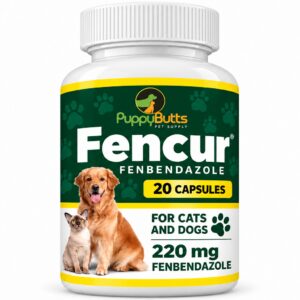 Fencur supplement for pets in bottle