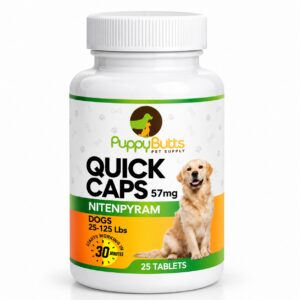 Dog supplement bottle for quick relief.